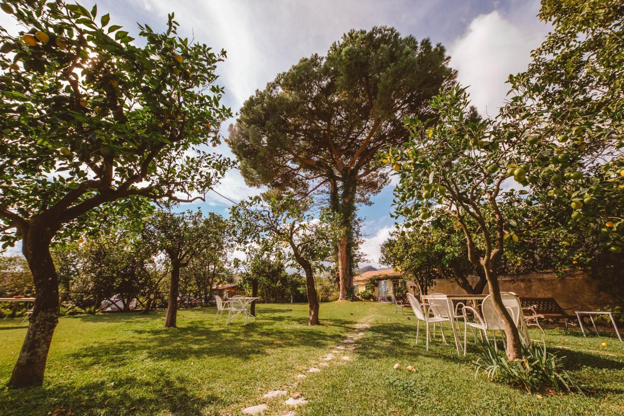 Agriturismo Villa Vittoria Guardavalle Exterior foto